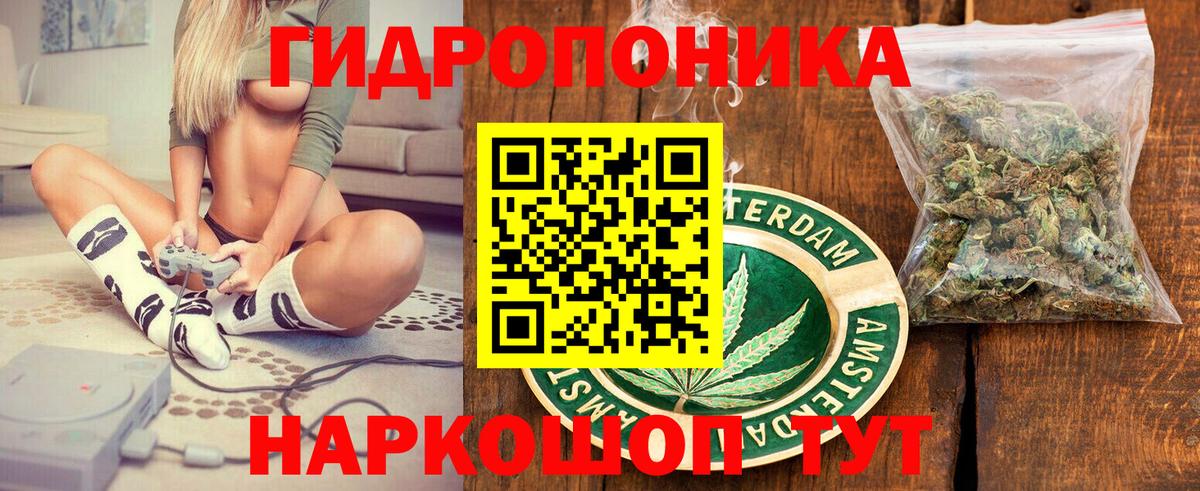 Бошки Шишки планчик  Вход с VPN  Конопля план  Сегежа  МАРИХУАНА ГИДРОПОН 
